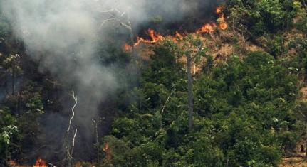 No Topo Mato Grosso tem maior área queimada no primeiro bimestre de 2023