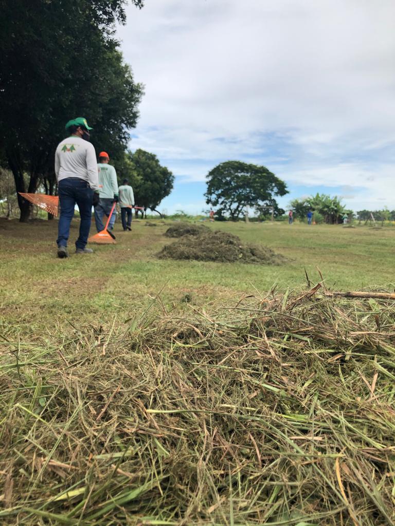 Prefeitura faz limpeza de áreas externas das escolas para início do ano letivo