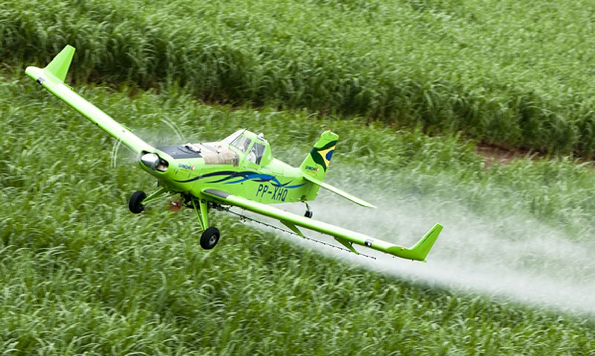 STF julga constitucionalidade de lei do Ceará sobre pulverização aérea