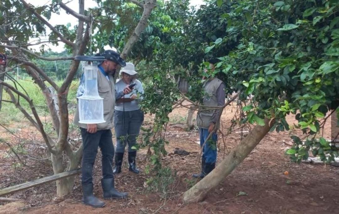 Sinop: Pesquisa controla vetores que transmitem Malária e Leishmanioses