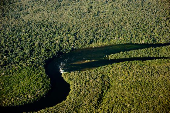 Mensagem do governo com pedido de urgência suspende pesca em MT por 5 anos