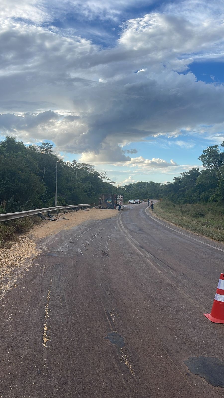 Carreta carregada com soja tomba próximo de rio na MT-140 entre Sinop e Santa Carmem