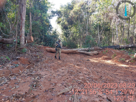 Quadrilha que causou R$ 1,7 bi em prejuízo ambiental é alvo de operação