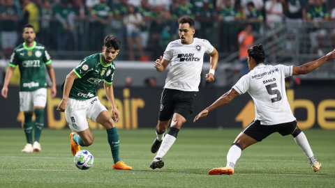 Palmeiras desperdiça pênalti, tem gol anulado e perde para o Botafogo