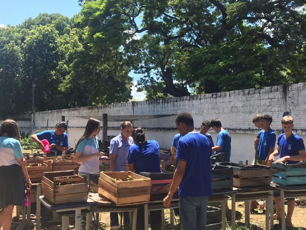 Hortas implantadas em escolas de Sinop agregam no conhecimento e na alimentação dos estudantes