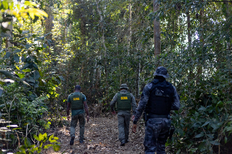 Governo de MT aplicou R$ 937 milhões em multas por crimes ambientais no primeiro semestre