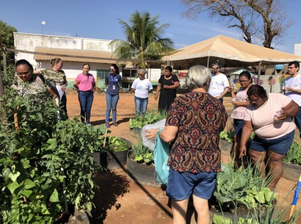 Horta comunitária fortalece vínculos, gera conhecimentos e troca de experiências entre mulheres