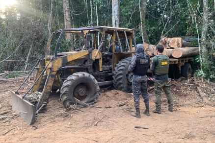 Sema e PM apreendem madeira Durante ação integrada da Operação Amazônia