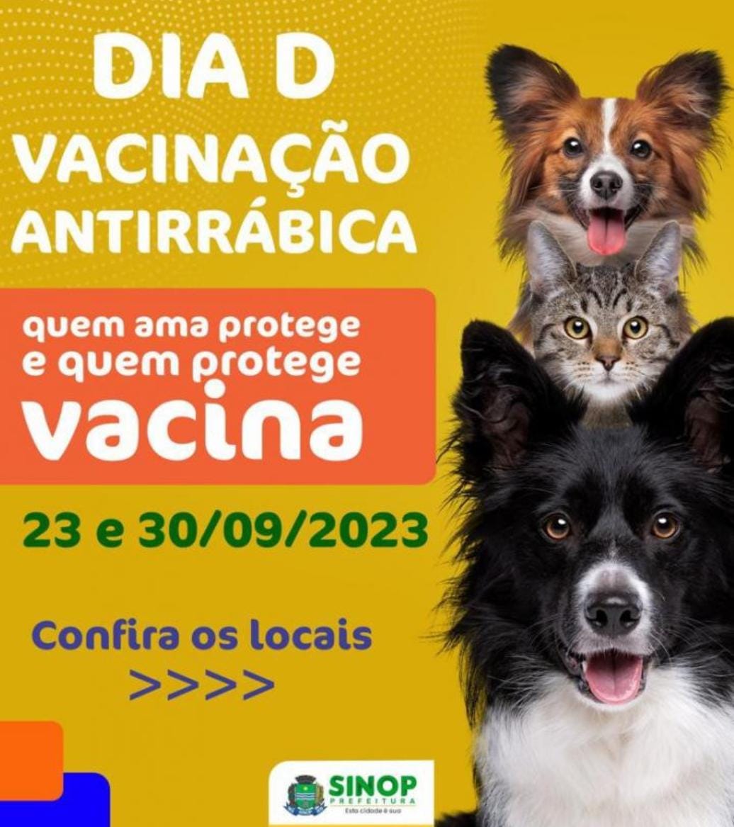 Dia D Antirrábica: saiba os locais de vacinação para este sábado