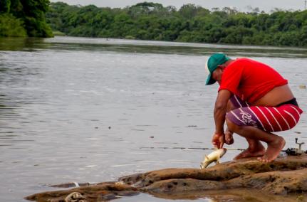 MDB nacional aciona STF contra Lei da Pesca de Mauro Mendes