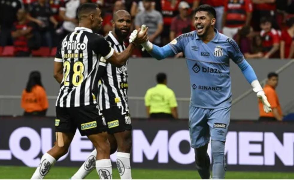 Da tensão à festa com a torcida: a vitória do Santos contra o Flamengo vista do campo