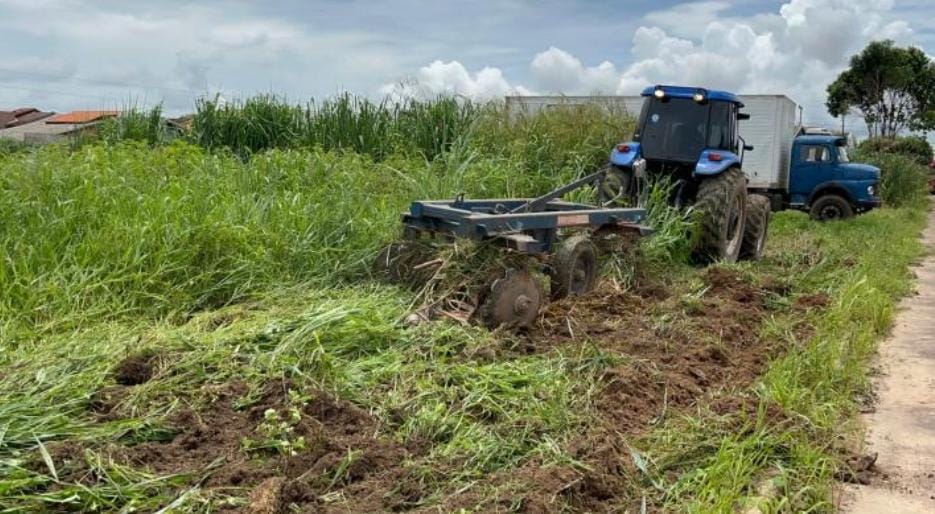 Limpeza de áreas verdes e institucionais é intensificada; lixo descartado irregularmente é recolhido