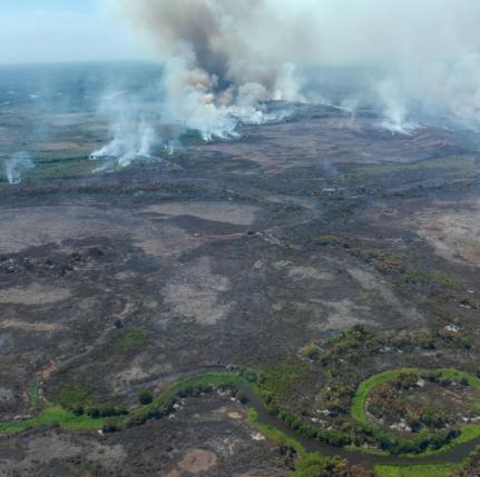 Governo decreta emergência por incêndio que atinge o Pantanal